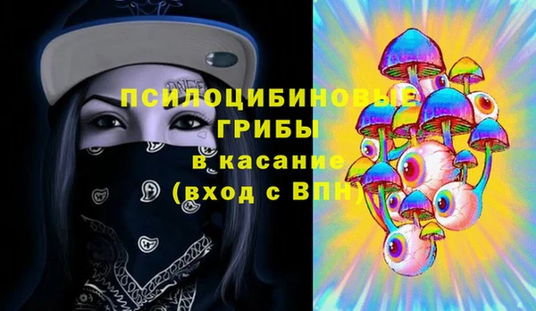 шишки Алзамай