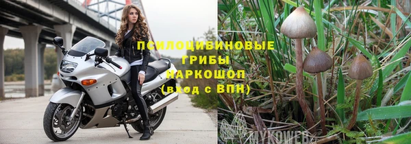 шишки Алзамай